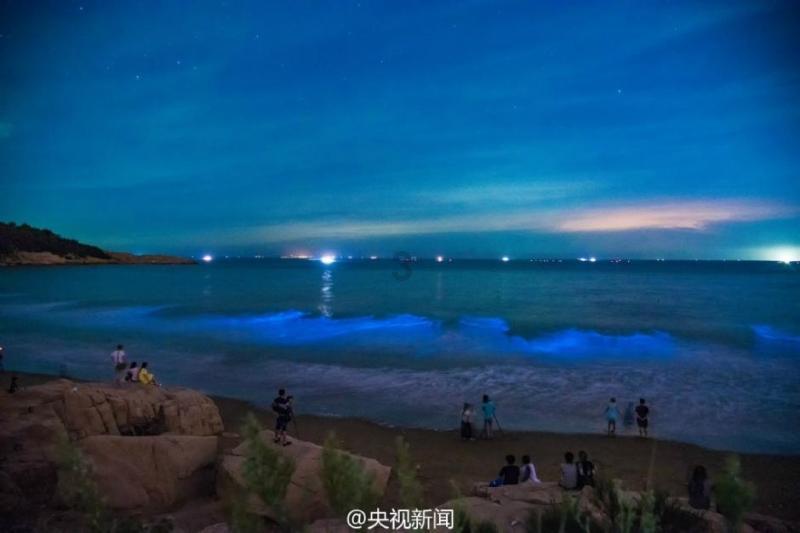 小猫钓鱼开船版最新版下载