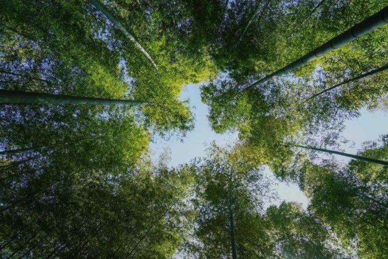 洛克希德马丁盘中异动 下午盘大幅下跌5.02%报435.72美元