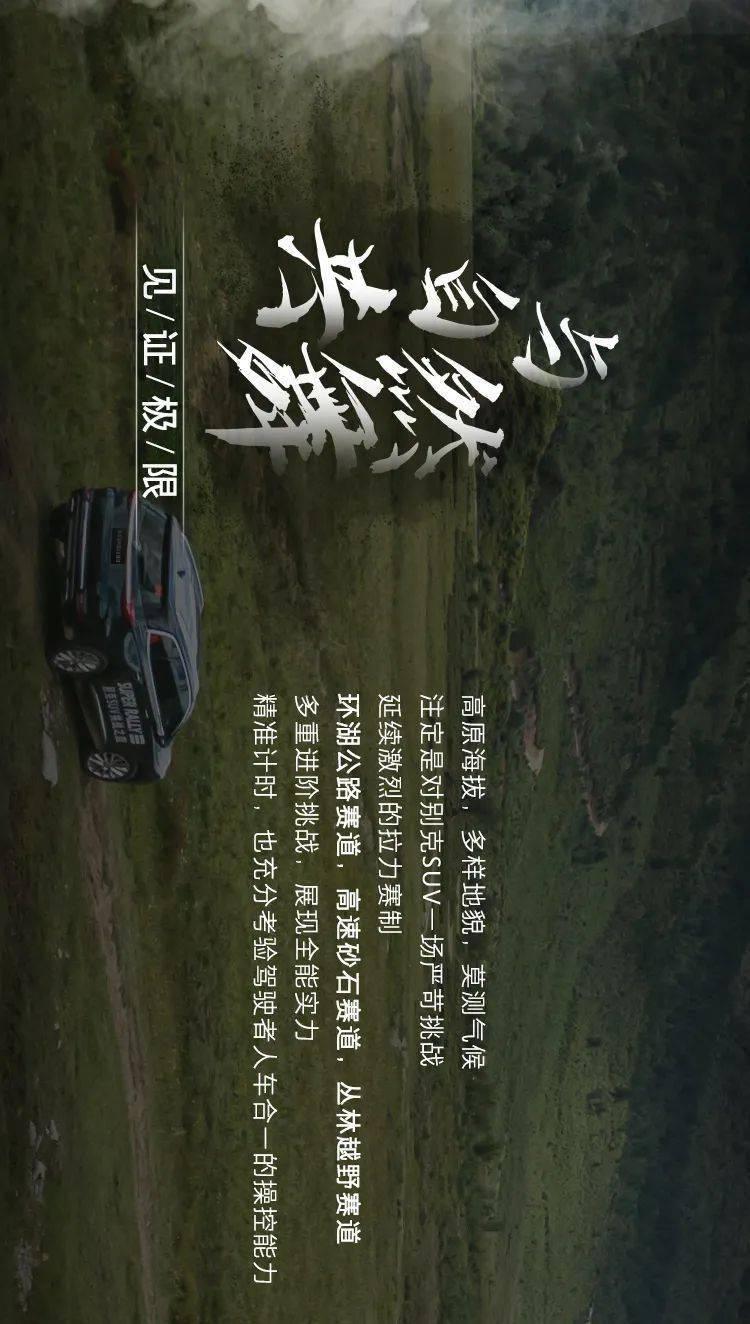 宁夏防沙治理生态修复草籽品种