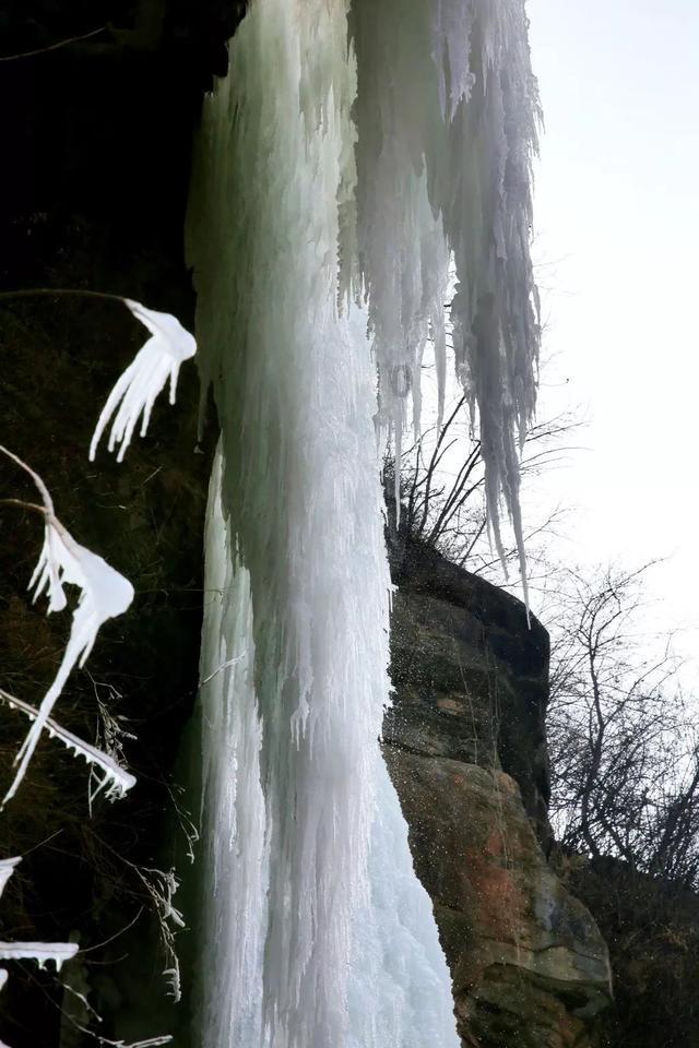 薇娅会被封杀，成为下一个雪梨吗？游戏画面