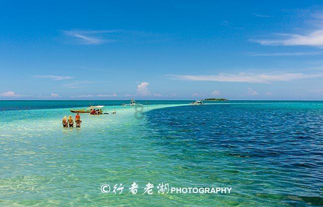 虫虫助手下载