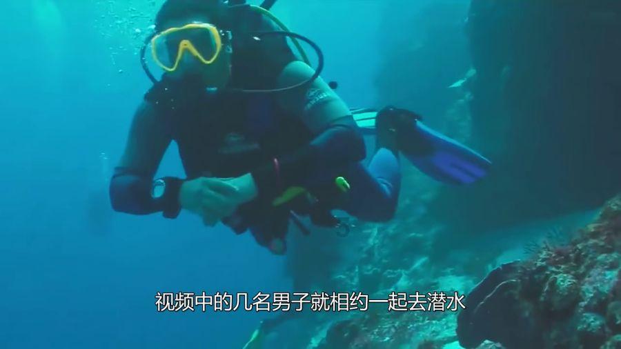 我市共享助力车上新“温暖牌”把套