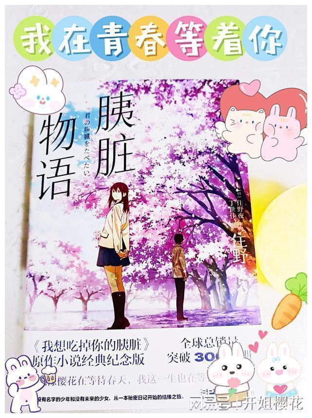 智慧展厅与多媒体展厅的区别有哪些？-思威图数字