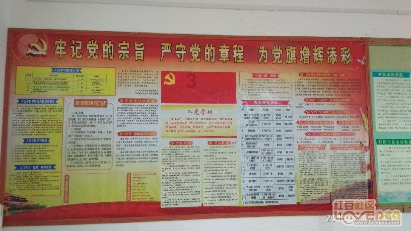 女杀手金珠花不像是演的！比《狂飙》老默更疯癫更残忍