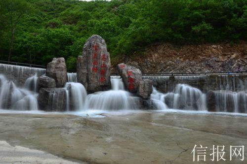 精灵格蕾
