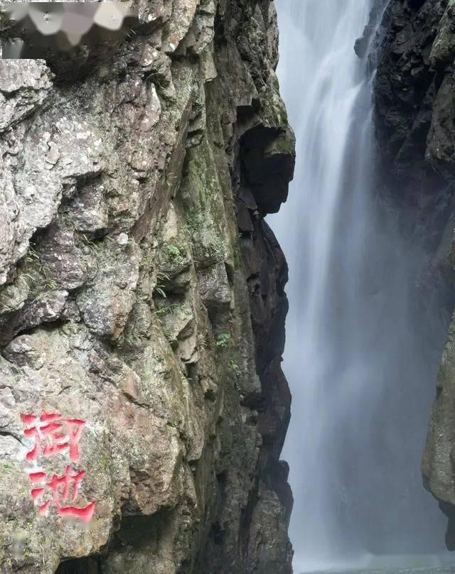 如何做出美味的虾料理？游戏画面