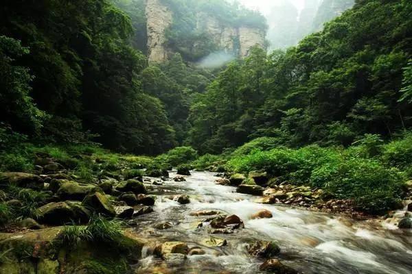 脑洞小老弟无实名认证