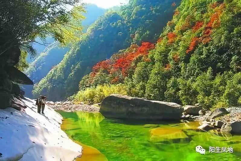 美人鱼游玩