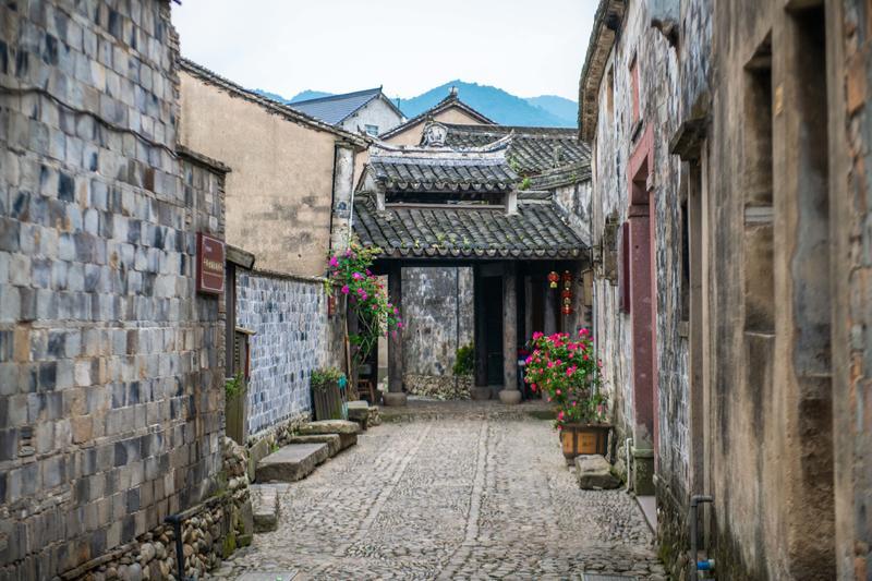 小猫钓鱼游戏龙王版有船