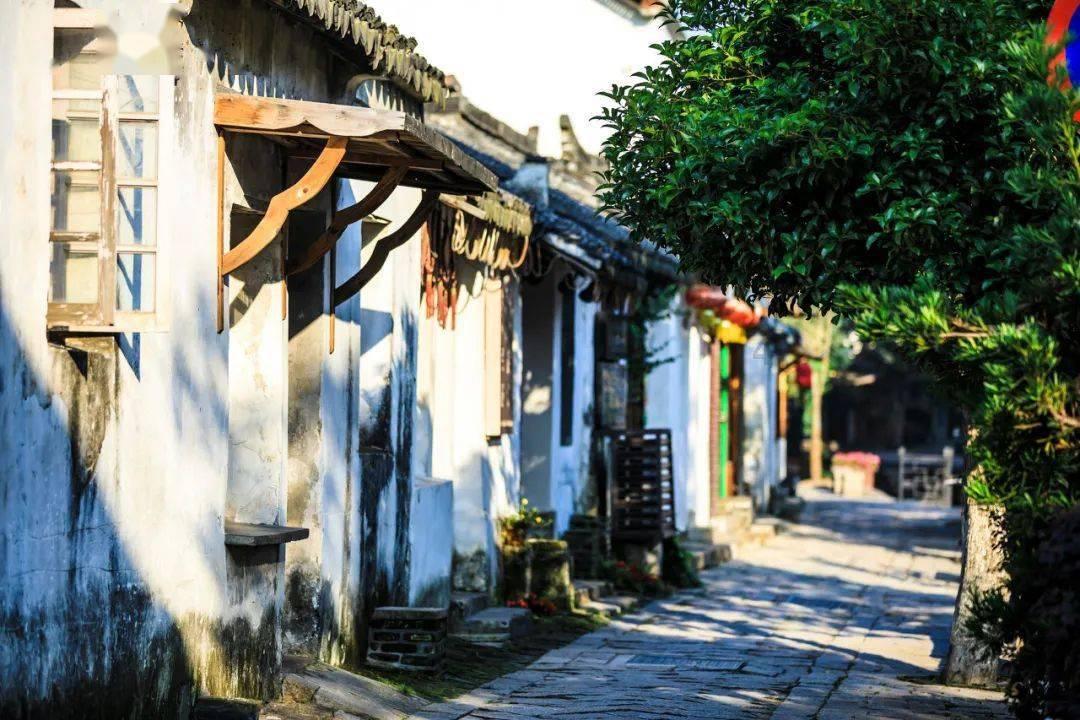 拯救龙精灵
