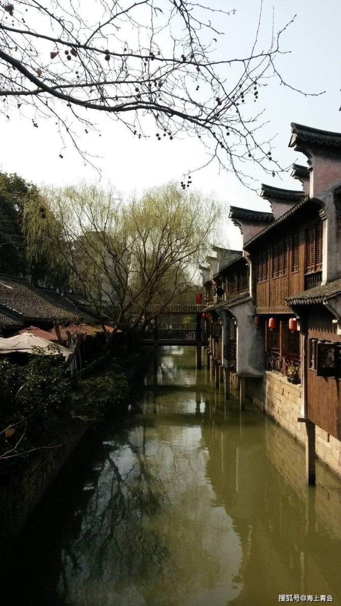 逃出猫头鹰岛