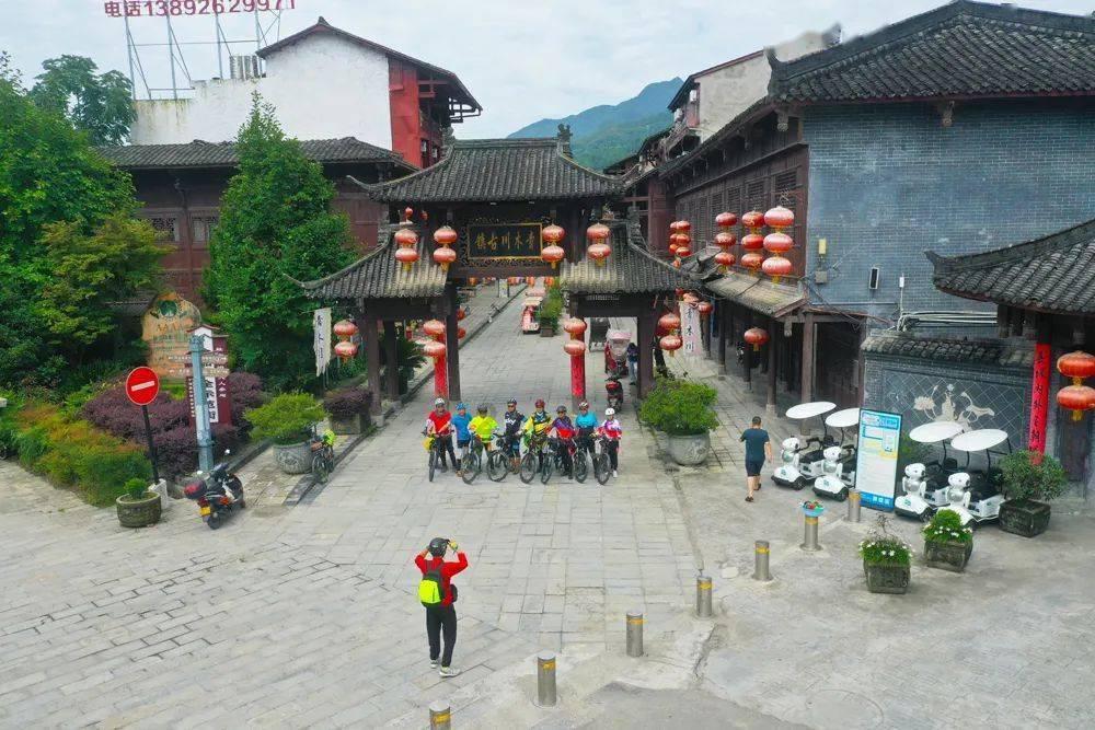 为什么我家的四季梅总是黄叶？游戏画面