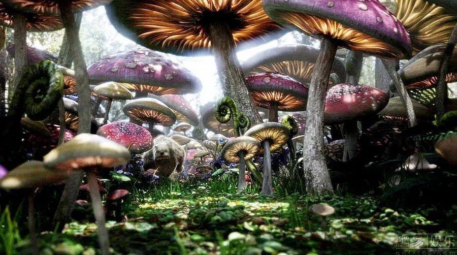 虫虫助手下载